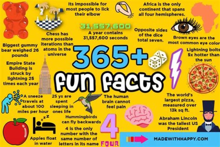 10 Fun Facts About SZA Biography, Age, Birthday, Parents, Siblings