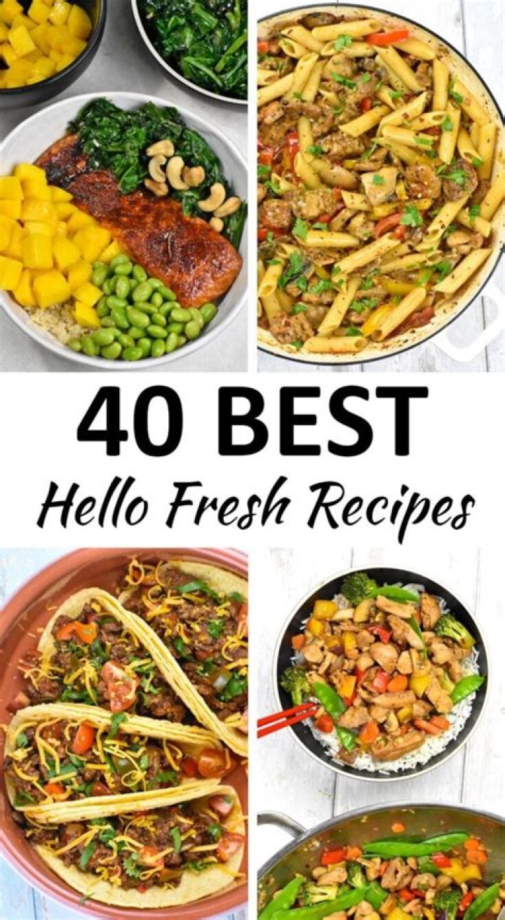 10 Of The Best Fresh Roasts That Are Owning April 2016 Funny Gallery eBaum's World