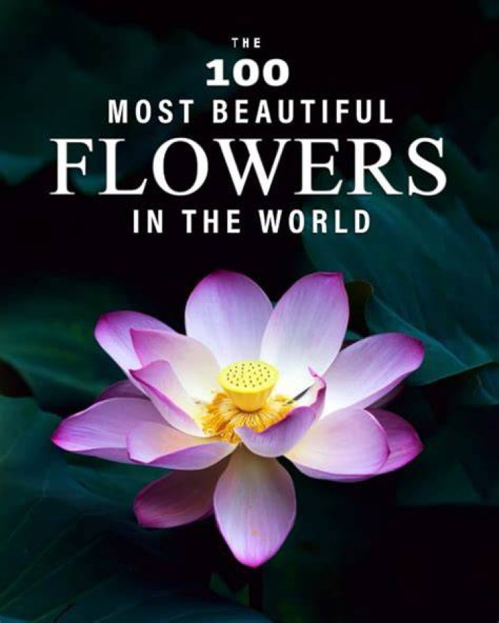 100+ of Most Beautiful Floral Tattoos Ideas MyBodiArt