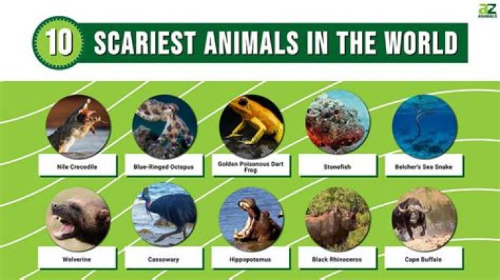 11 Of The Scariest Looking Creatures In The Animal Kingdom HuffPost