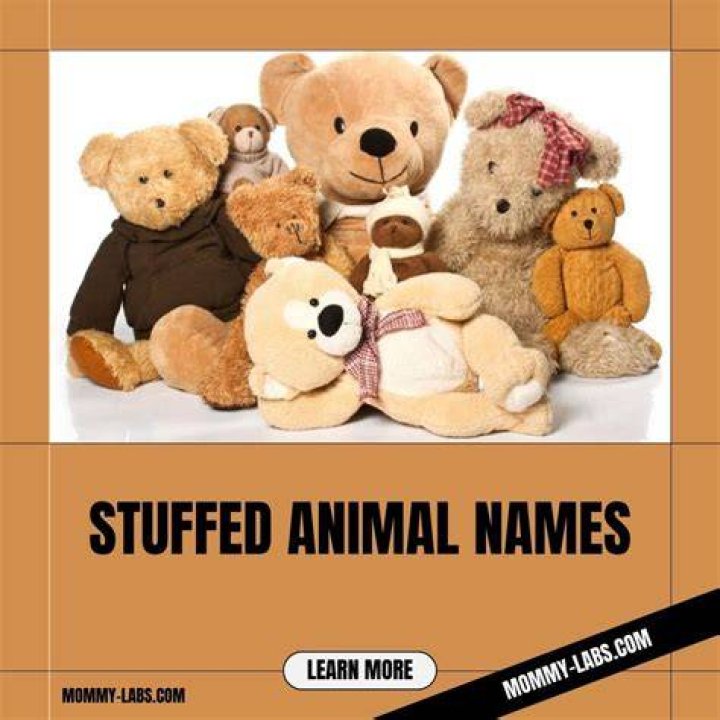 110 Stuffed Animal Names for Your Child's Favorite Toy