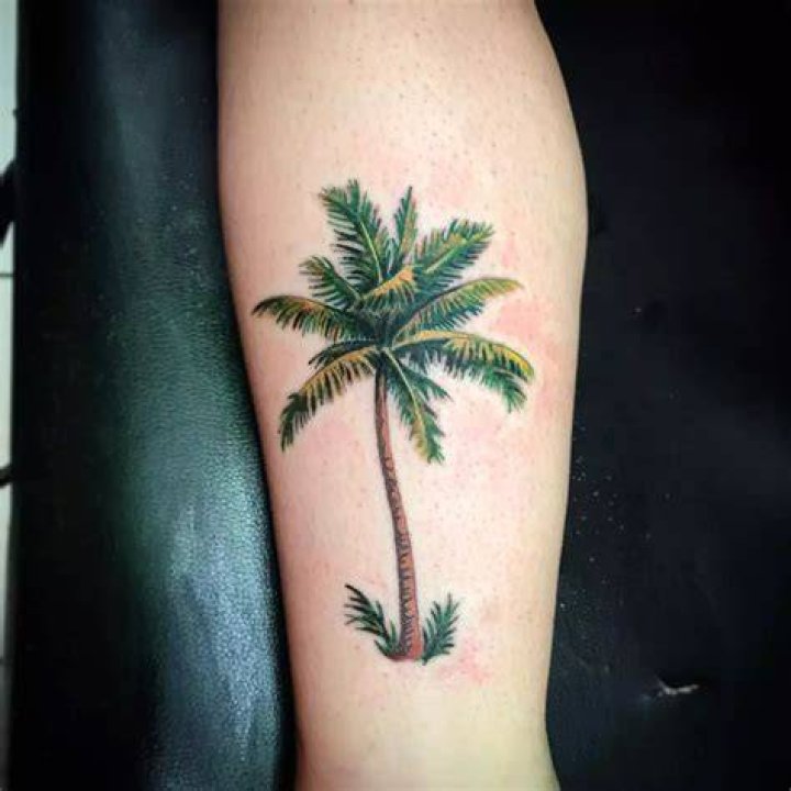 120+ Best Palm Tree Tattoo Designs and Meaning [Ideas of 2019]