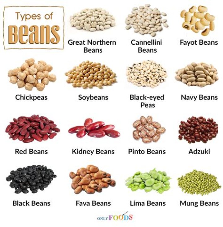 15 Different Types of Beans with Pictures Types of beans, Beans, Bean