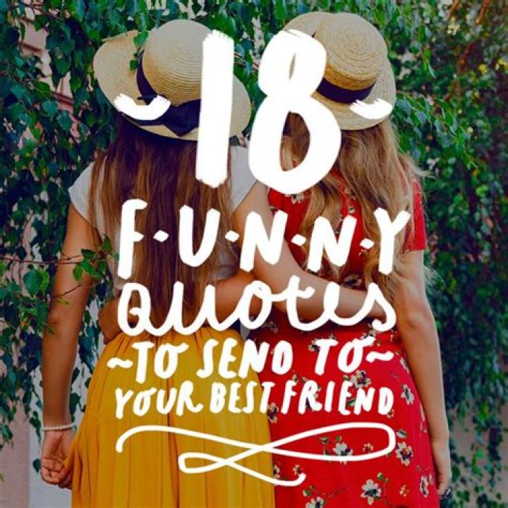 18 Funny Quotes to Send to Your Best Friend Bright Drops