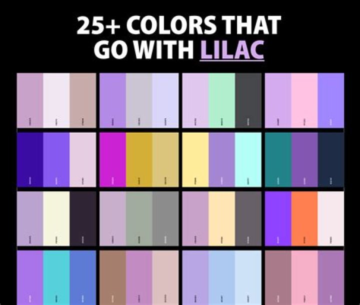20 Colors That Go Well With Purple