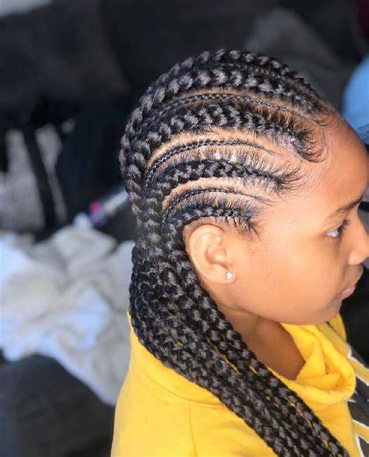 2020 pictures of best braid hairstyles for women styles 2d
