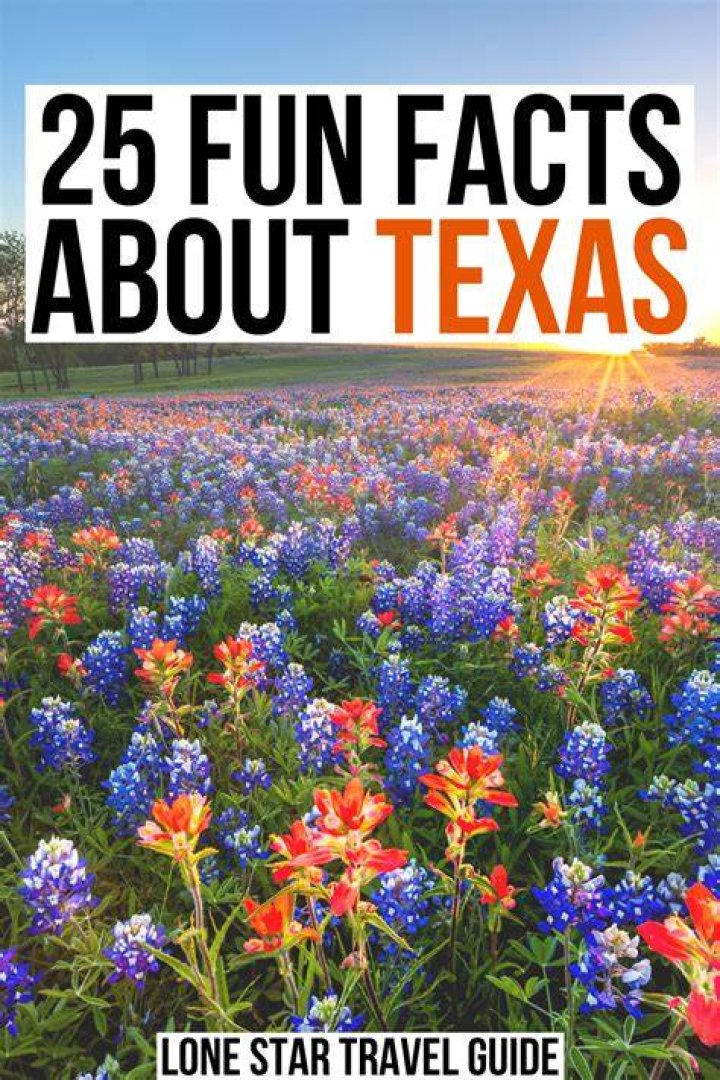 25+ Fun Facts About Texas Lone Star Travel Guide Fun facts about texas, Usa travel guide