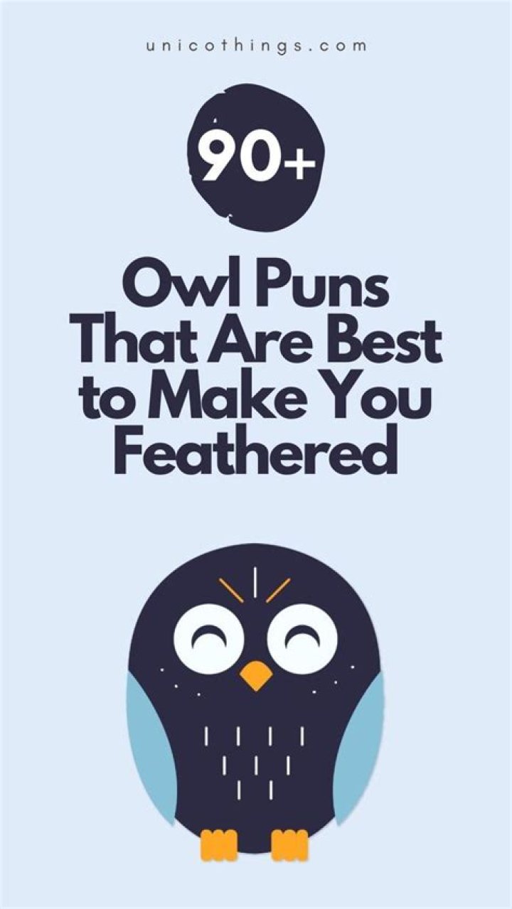 25 Owl Puns That Will Make You Feel Owl The LOLs Thought Catalog