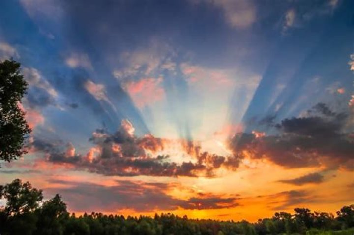 26 Bible Verses about The Virtuous Woman