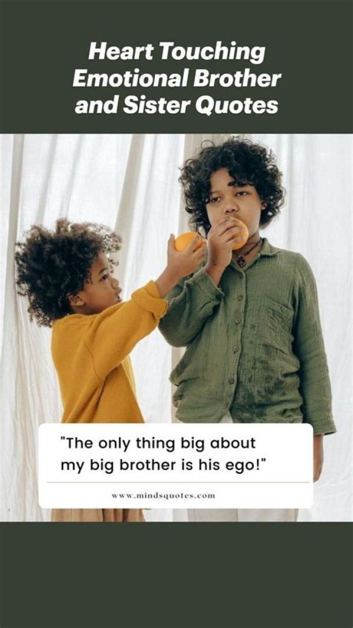 28 Heart Touching Emotional Brother and Sister Quotes Quote Collectors Club