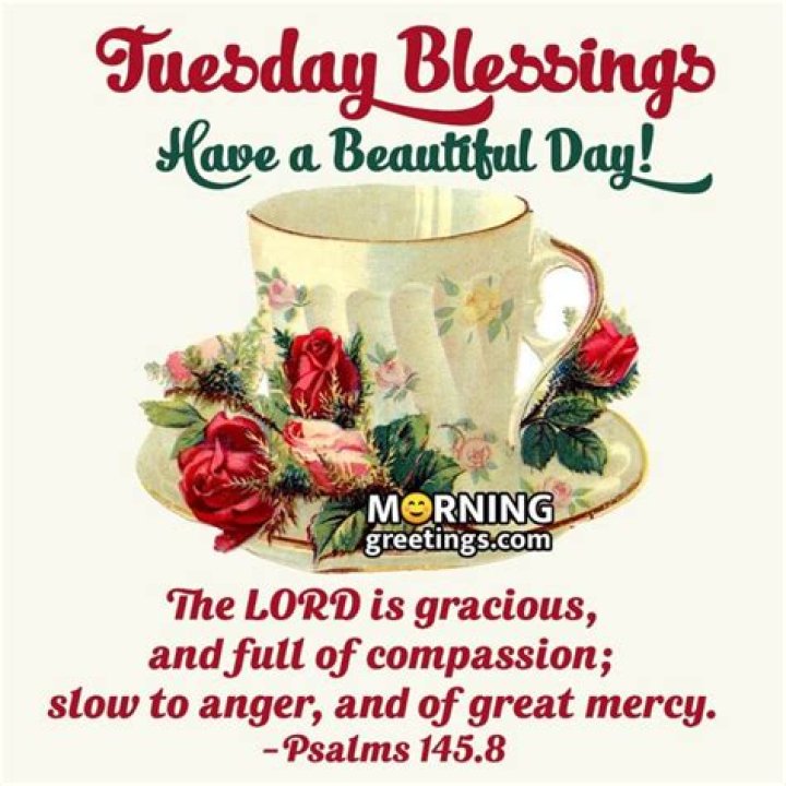 30 Amazing Tuesday Morning Blessings Morning Greetings Morning