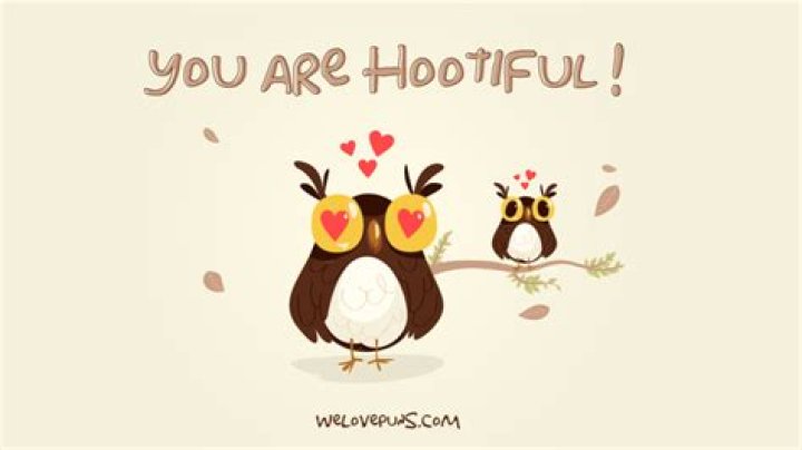48 Most Howlarious Owl Puns From All Over The World