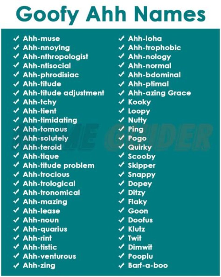 500+ Goofy Ahh Names (2023) Name Guider
