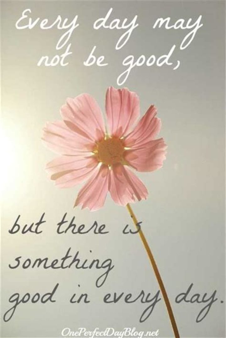 60 Positive Quotes to Have a Nice Day Freshmorningquotes