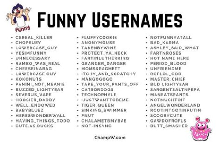 700 Funny Usernames Ideas and Suggestions to Inspire You
