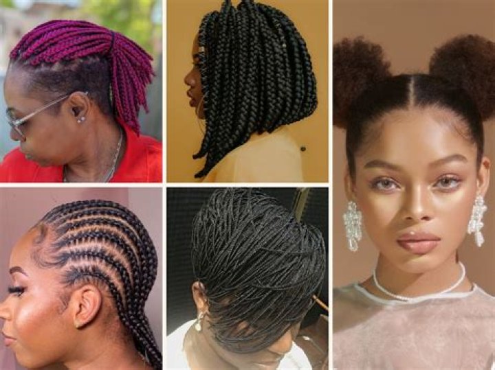 8 Types of Braids That Blend Comfort with Style StyleWile