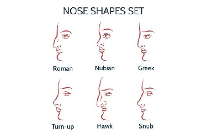 9 Different Types Of Noses What Does It Say About You?