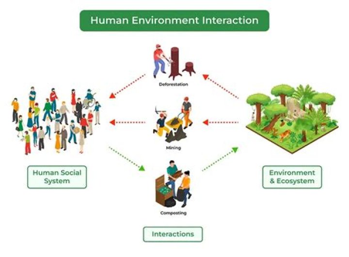 ⚡ Connection between humans and animals. The Historical Connection