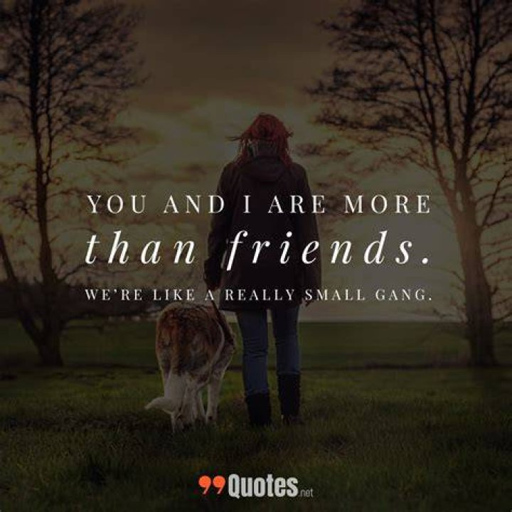 99 Cute Short Friendship Quotes You Will Love [with images]