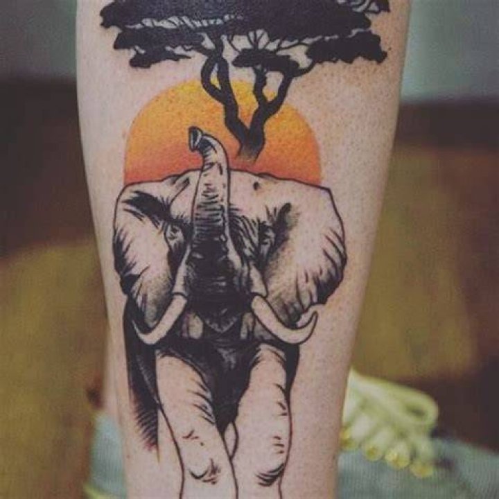 99 Powerful Elephant Tattoo Designs (with Meaning)
