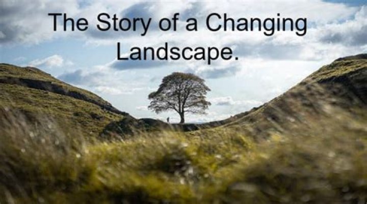 A Changing Landscape The origin of commercial strawberries