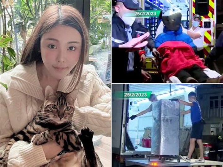 Abby Choi Sixth suspect arrested in 28yearold Hong Kong socialite&rsquo;s
