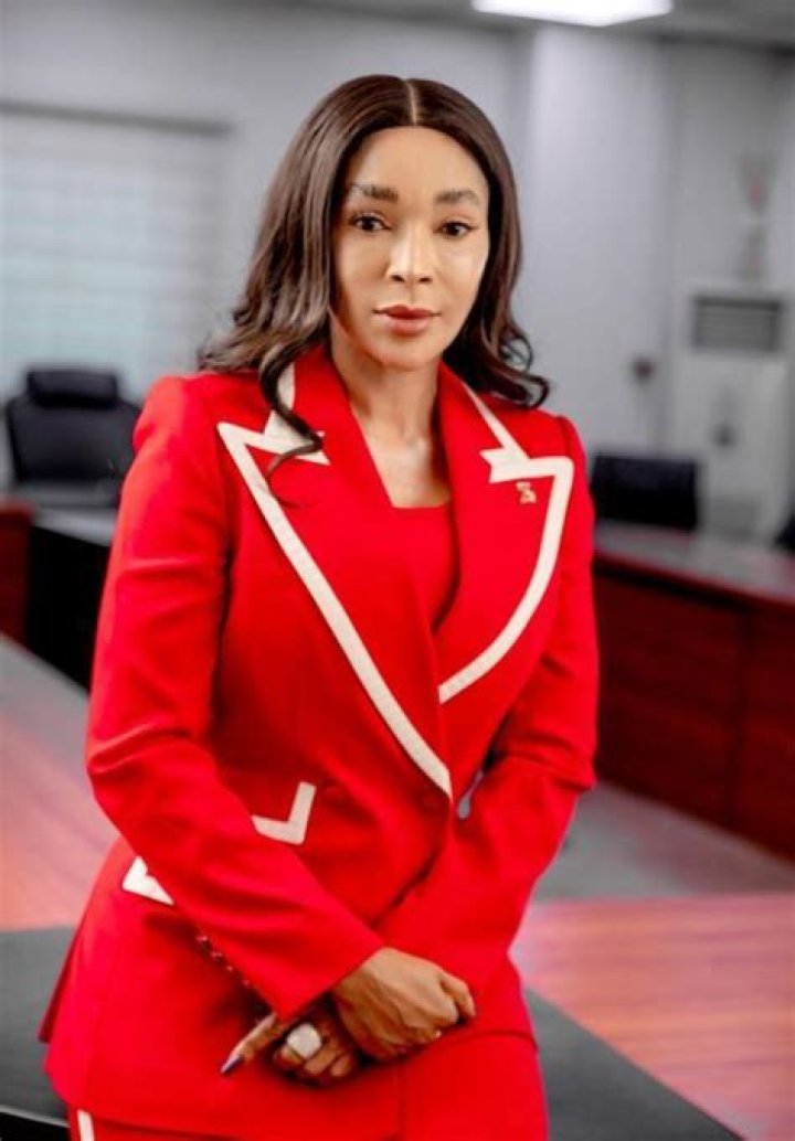 Adaora Umeoji Is Nigeria’s 10th Female Bank CEO; See Those Who Paved the Way Arise News