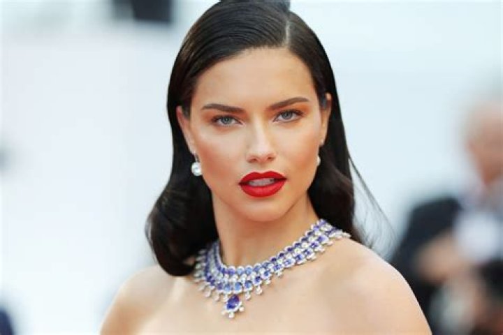Adriana Lima Page Six