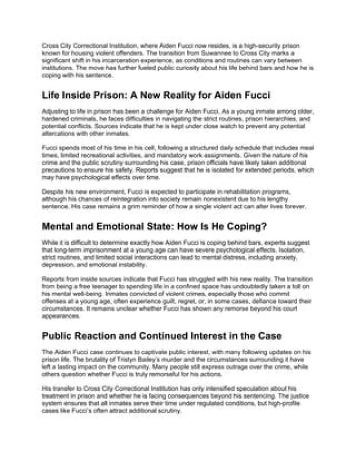 Aiden Fucci Mental Health Explored, What Happened To Him? Why Did He
