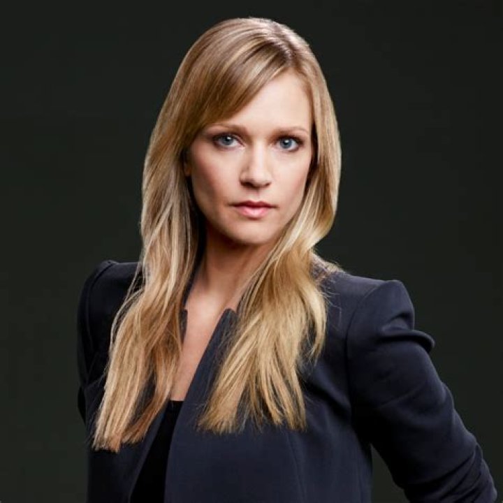 A.J. Cook Criminal Minds Wiki Fandom