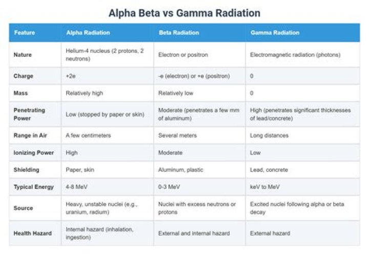Alpha vs Beta vs Gamma vs Omega vs Delta vs Sigma Personalities TheMindFool