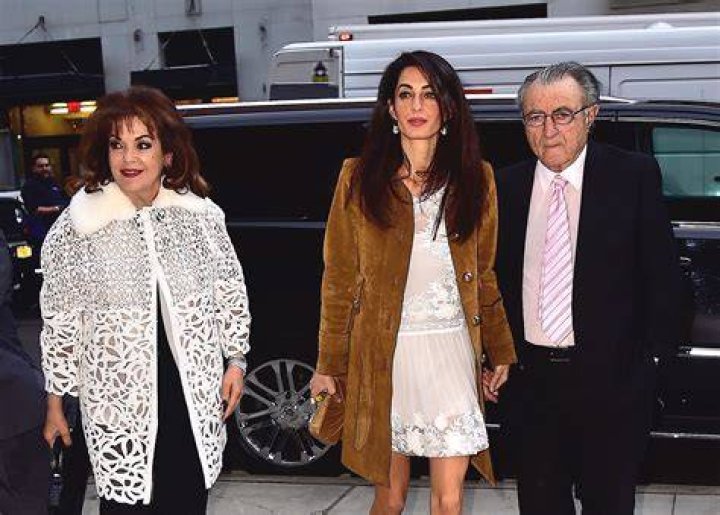 Amal Ramzi Alamuddin Net Worth June 2024, Salary, Age, Siblings, Bio