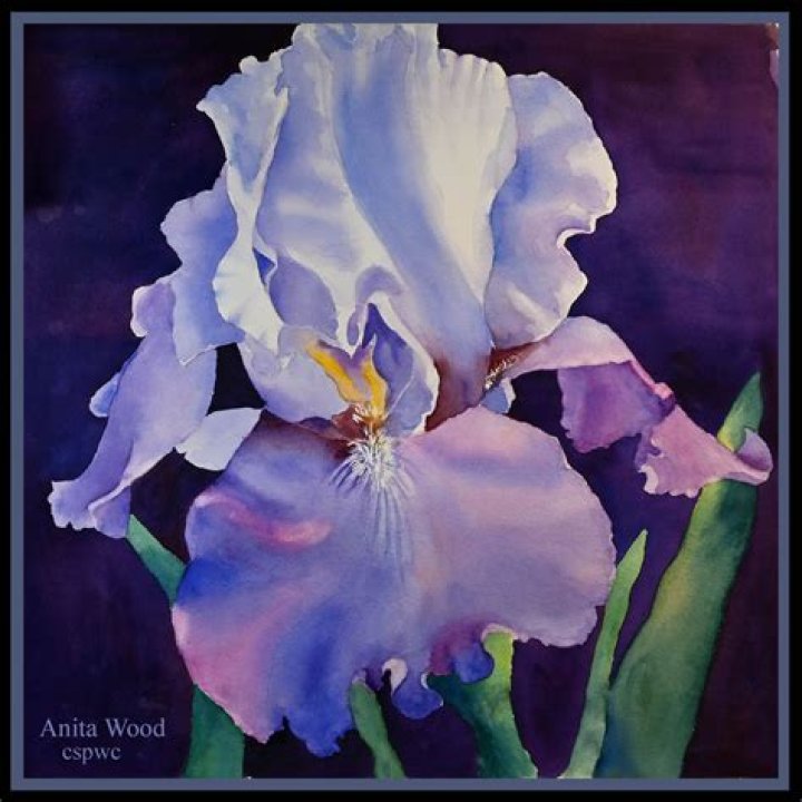 Anita Wood Topic YouTube