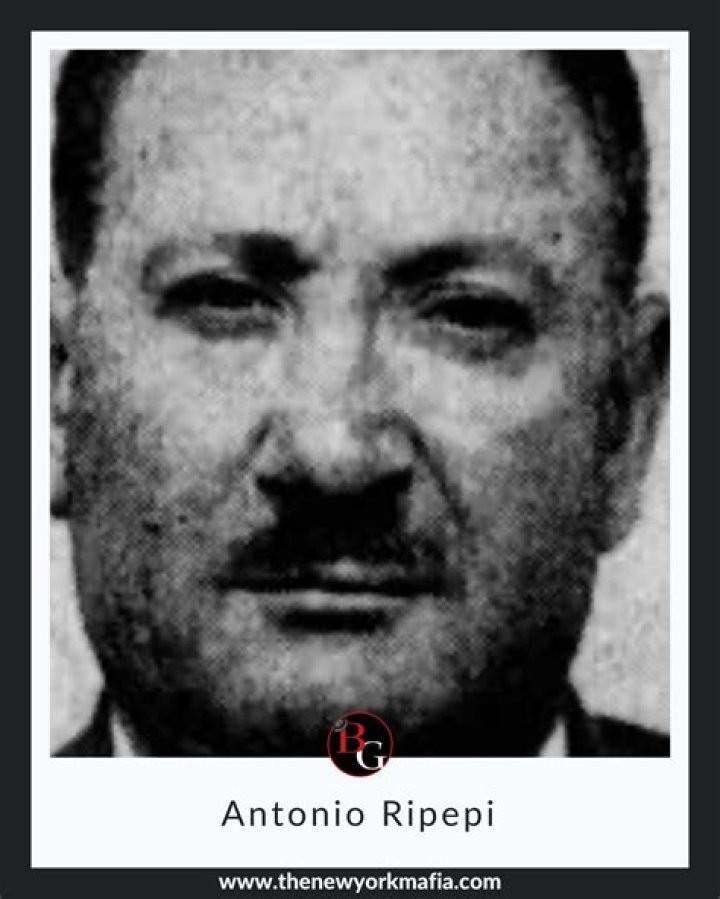 Antonio Ripepi Cause Of Death And Obituary