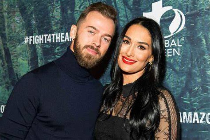 Artem Chigvintsev celebrates 'beautiful' wife Nikki Bella in heartfelt