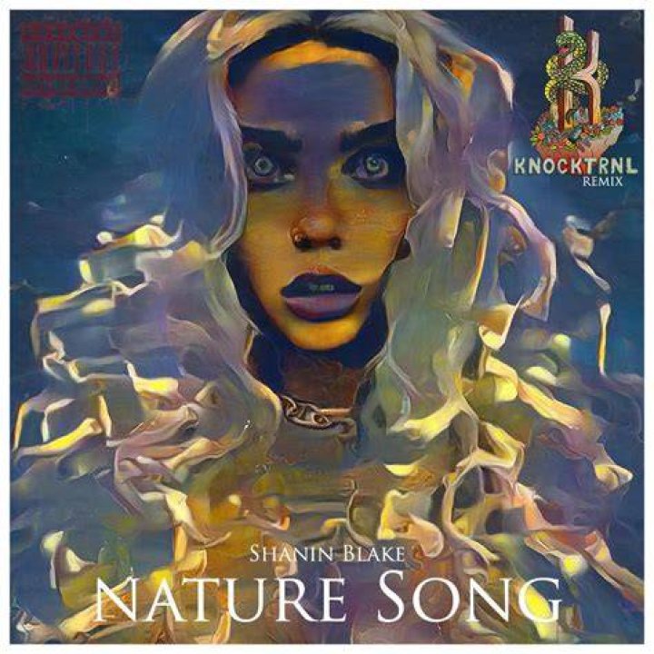 Artist Spotlight Shanin Blake &bull; Volume