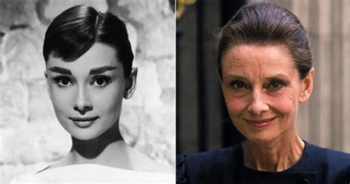 Audrey Hepburn’s Last Love Robert Wolders Dies at 81