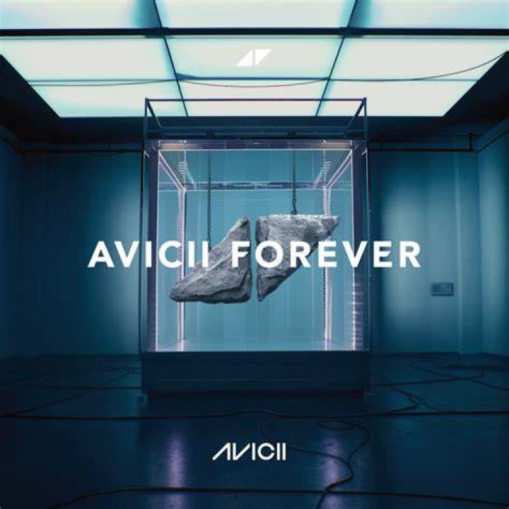 Avicii Remembered on Social 50 Chart Following Death Billboard