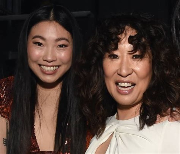 Awkwafina and Sandra Oh Star in Hilarious 'Quiz Lady' Trailer