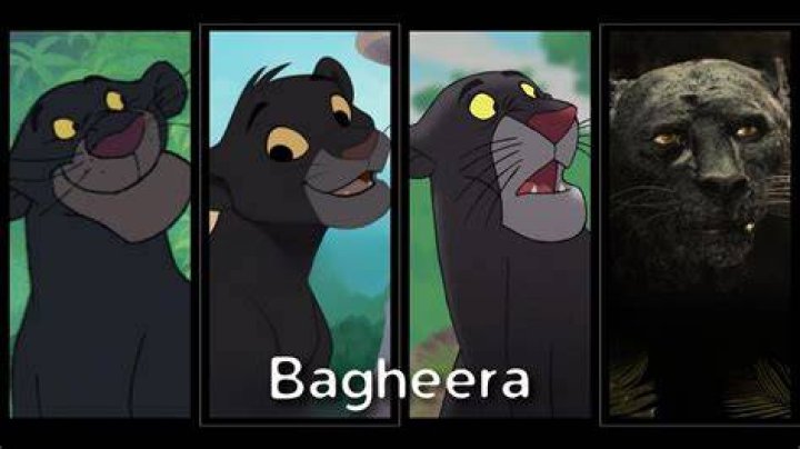 Bagheera (Disney) Heroes Wiki FANDOM powered by Wikia