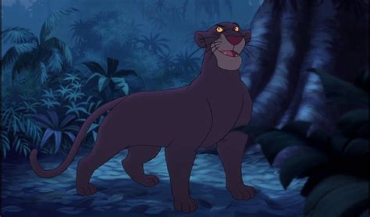 Bagheera Disney Wiki