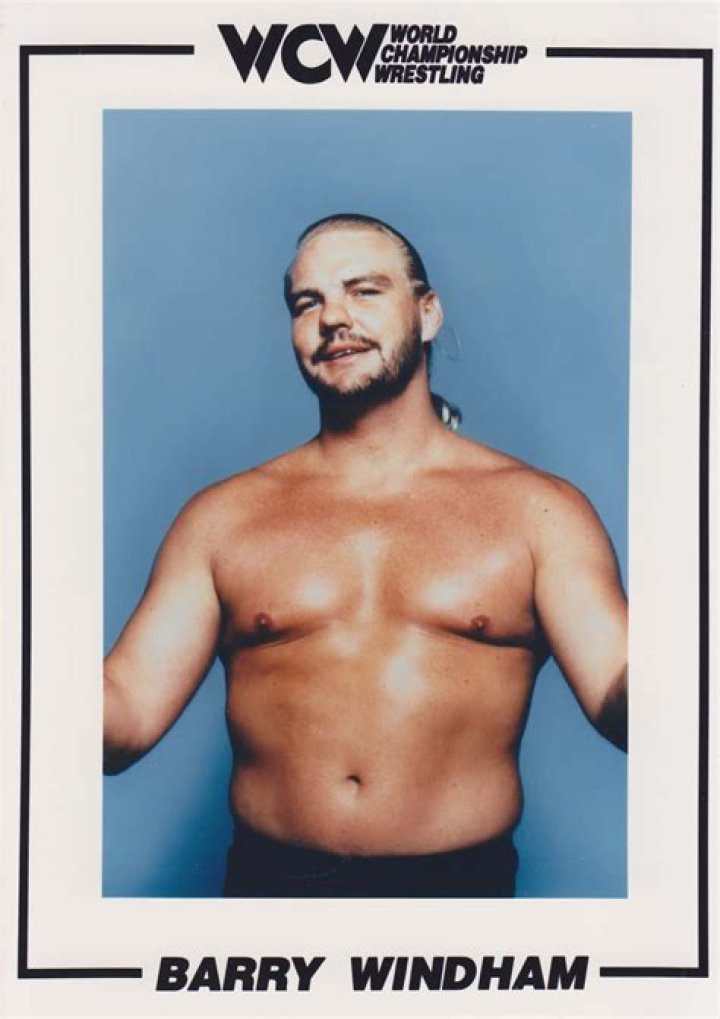 Barry Windham Wrestling superstars, Professional wrestling
