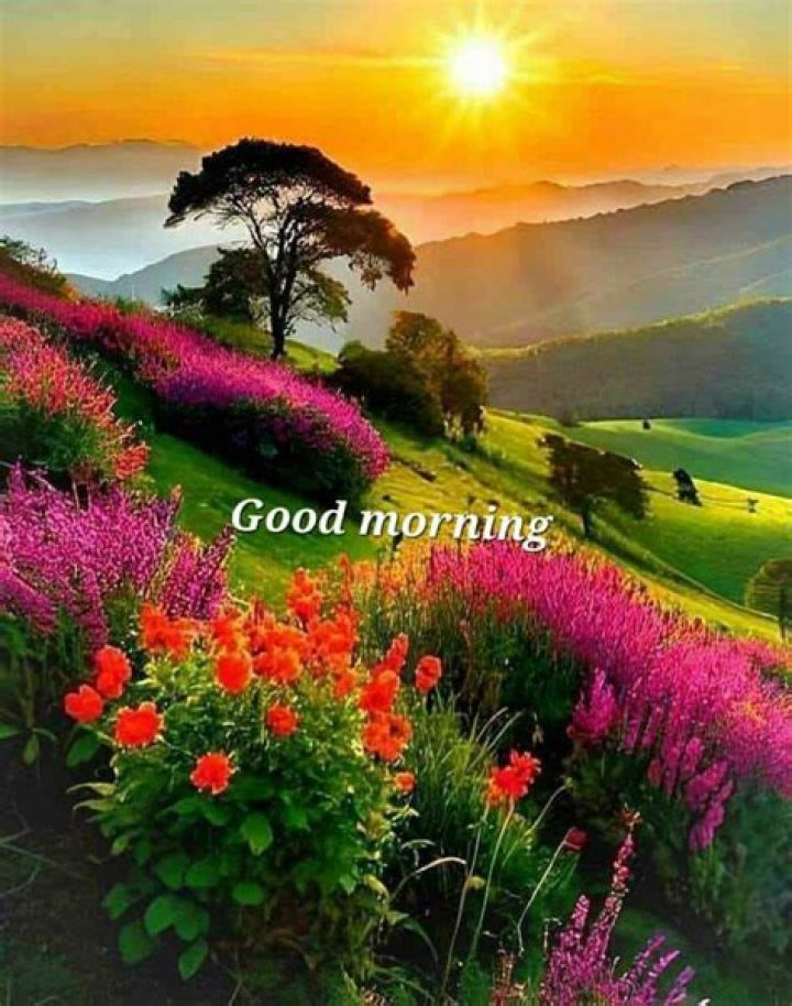 Beautiful Good Morning Fall Images, Pictures & Photos [2021]