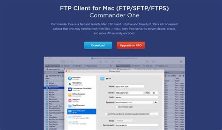Best ftp client for file management blitzmokasin