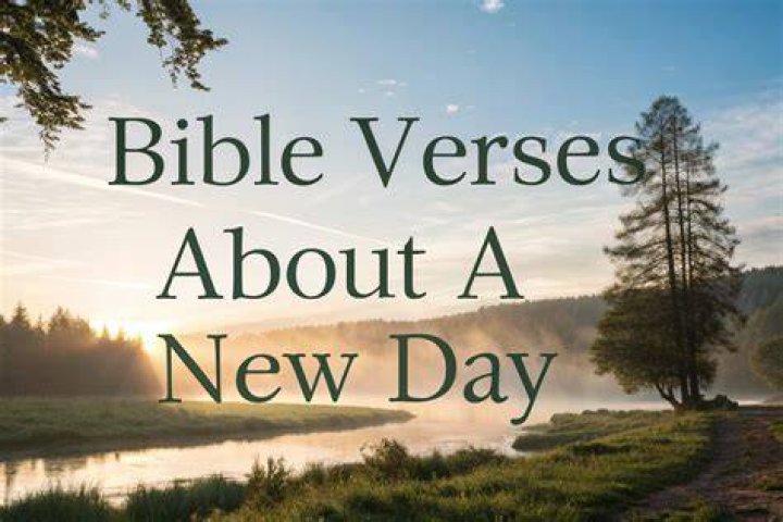 Bible Verses about a New Beginning Bible Verses for You