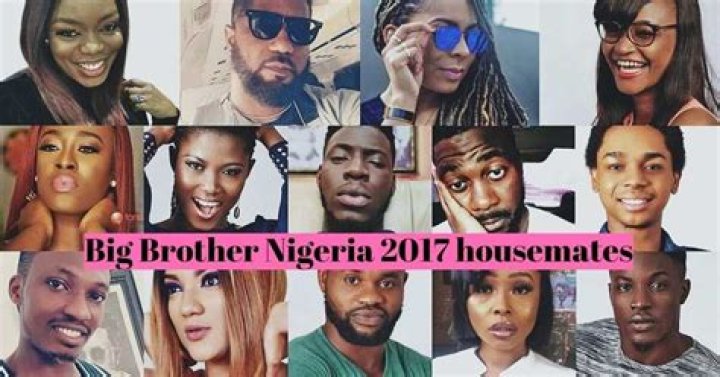 Big Brother Nigeria 2017 housemates Where are they now? Legit.ng