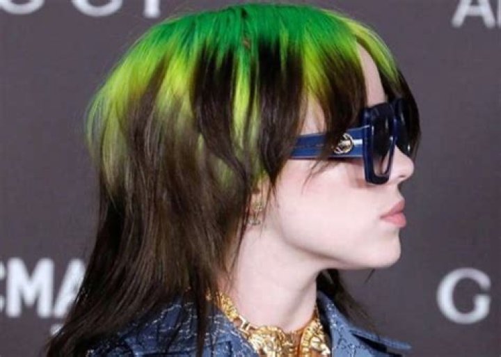 Billie Eilish Has A Mullet, And She's 'Growing That Shit Out' News MTV