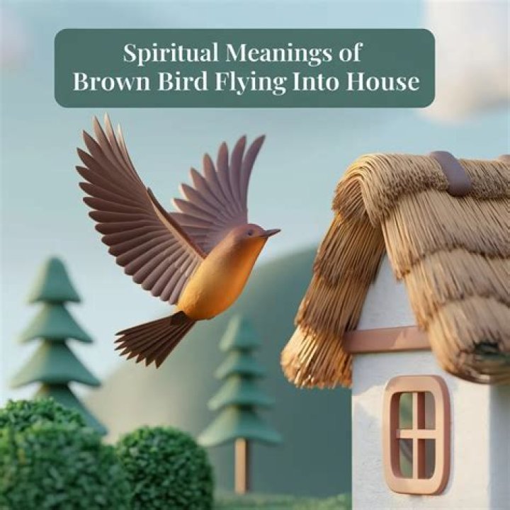 Bird In House Meaning Good Luck Or Just Superstition?