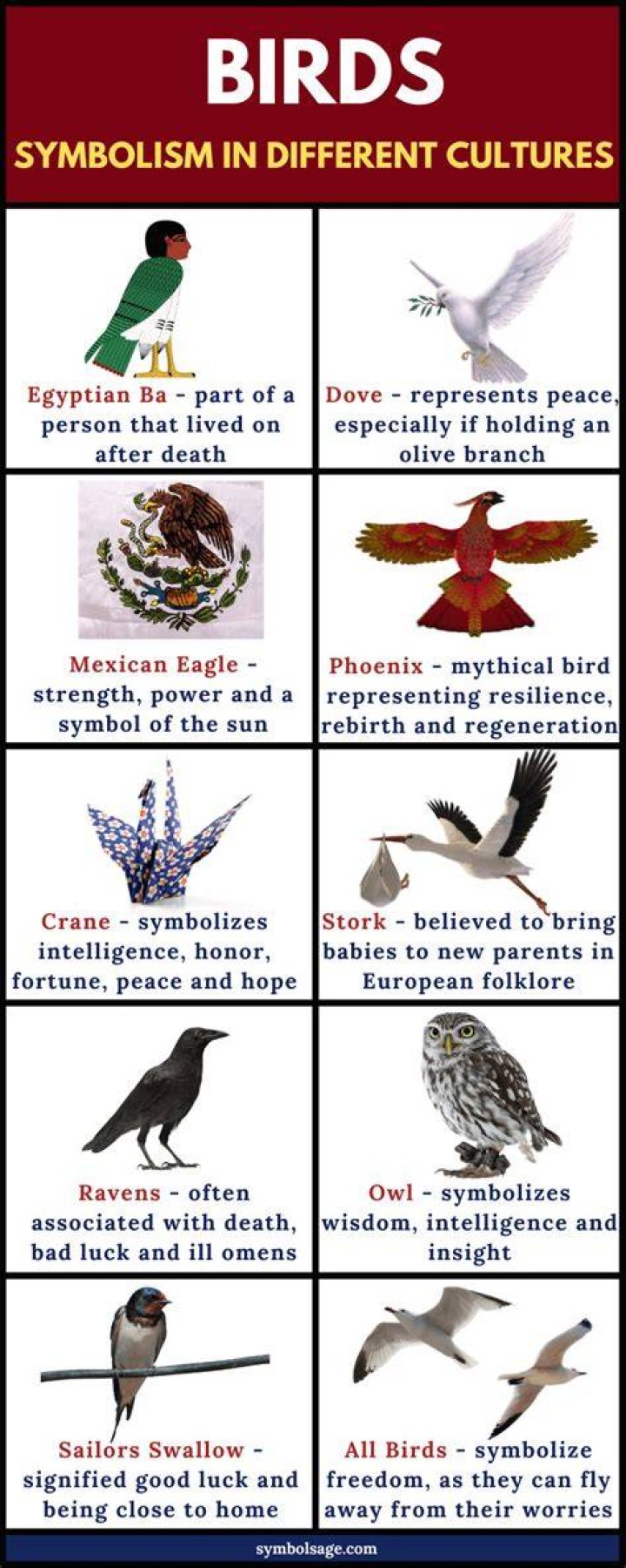Birds Symbolism and Meaning What is a bird, Animal symbolism, Bird tattoo meaning
