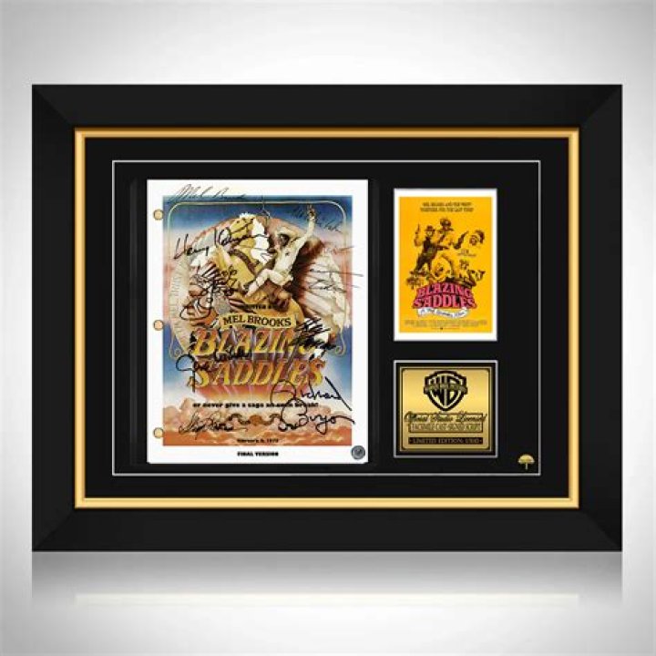 Blazing Saddles Quote by Vixie1979 on DeviantArt